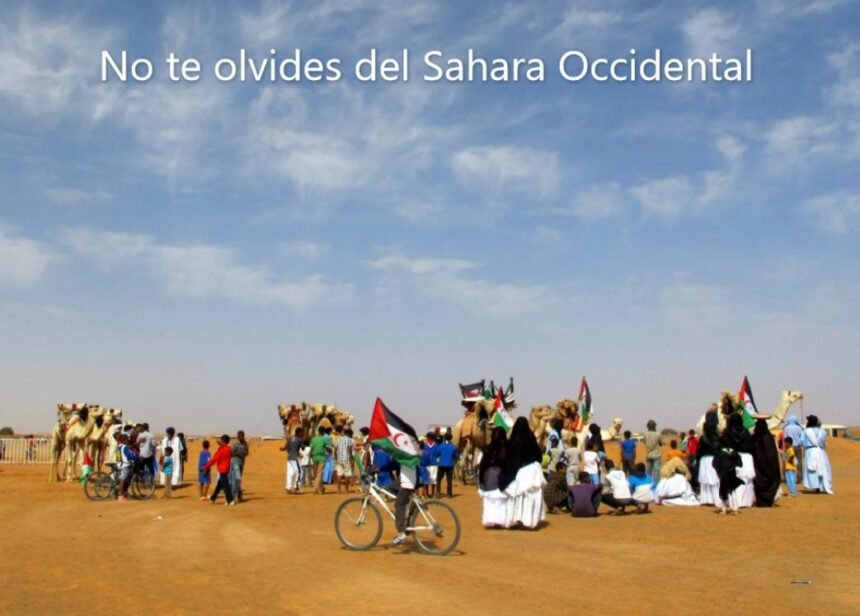 ¡LA ACTUALIDAD SAHARAUI! – 2/10/2023 – Las NOTICIAS del Sahara Occidental