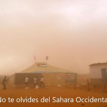 279849442_10225167018755738_4405865628149271365_n ¡LA ACTUALIDAD SAHARAUI! – 17/5/2023 – NOTICIAS del Sahara Occidental