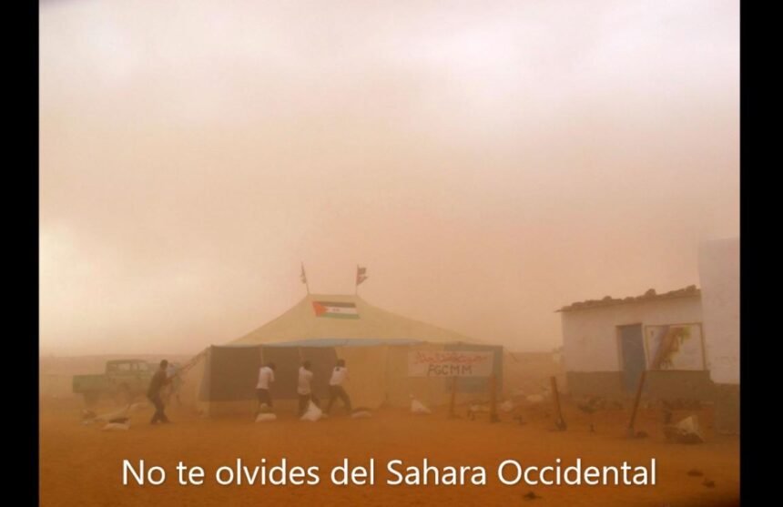 ¡LA ACTUALIDAD SAHARAUI! – 17/5/2023 – NOTICIAS del Sahara Occidental
