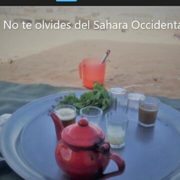 ¡LA ACTUALIDAD SAHARAUI! – 16/6/2023 – NOTICIAS del Sahara Occidental