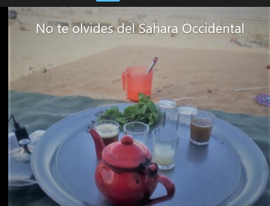 ¡LA ACTUALIDAD SAHARAUI! – 16/6/2023 – NOTICIAS del Sahara Occidental