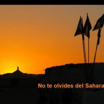 ¡LA ACTUALIDAD SAHARAUI! – 19/7/2023 – ÚLTIMAS NOTICIAS del Sahara Occidental