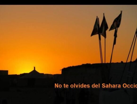 ¡LA ACTUALIDAD SAHARAUI! – 19/7/2023 – ÚLTIMAS NOTICIAS del Sahara Occidental