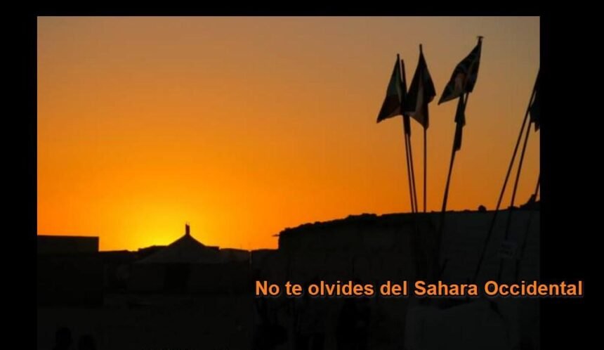 ¡LA ACTUALIDAD SAHARAUI! – 19/7/2023 – ÚLTIMAS NOTICIAS del Sahara Occidental