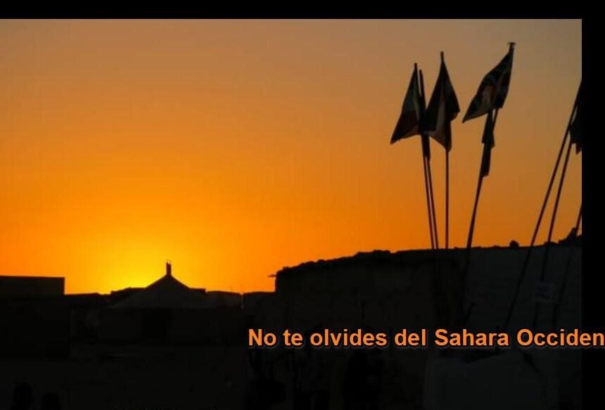 ¡LA ACTUALIDAD SAHARAUI! – 19/7/2023 – ÚLTIMAS NOTICIAS del Sahara Occidental