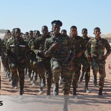 «Apenas quedan hombres en los campamentos»: los refugiados saharauis se unen al Frente Polisario para combatir a Marruecos