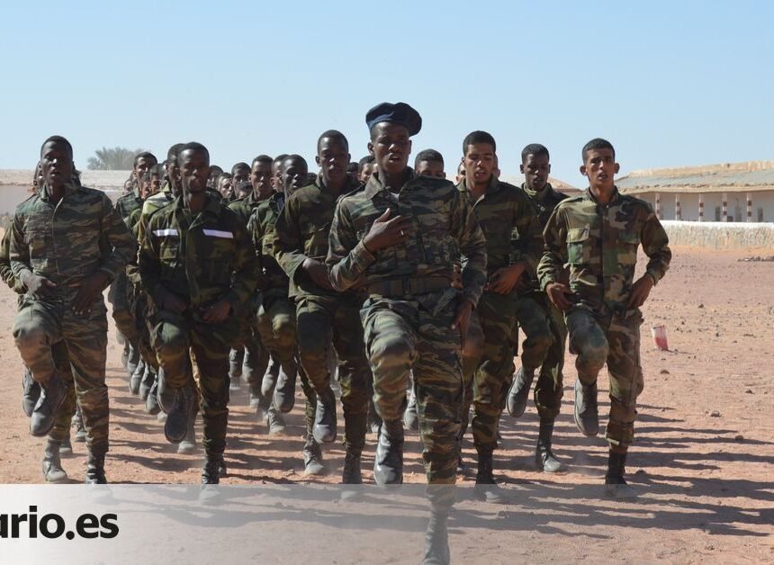 2995c8a6-8e5b-4127-8b43-28e5d966ea73_twitter-watermarked-aspect-ratio_default_0 «Apenas quedan hombres en los campamentos»: los refugiados saharauis se unen al Frente Polisario para combatir a Marruecos