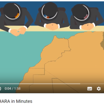 WESTERN SAHARA in Minutes (video) –  Nushatta Foundation