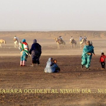 ¡LA ACTUALIDAD SAHARAUI! – 20/9/2023 – ÚLTIMAS NOTICIAS del Sahara Occidental