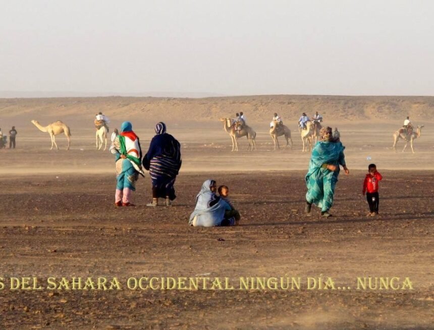 ¡LA ACTUALIDAD SAHARAUI! – 20/9/2023 – ÚLTIMAS NOTICIAS del Sahara Occidental