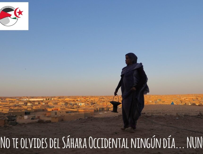 ¡LA ACTUALIDAD SAHARAUI! – 21/9/2023 – ÚLTIMAS NOTICIAS del Sahara Occidental