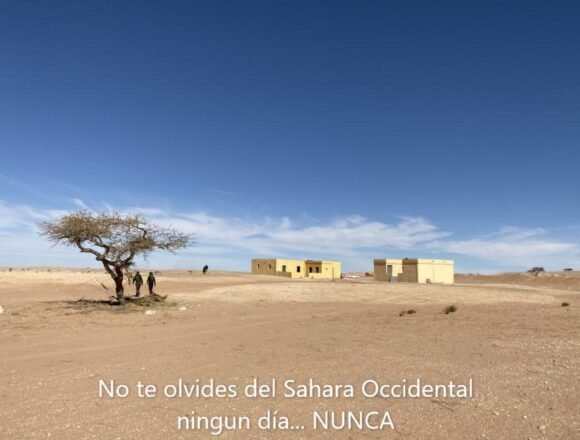 309274938_5343347342446413_7022828761372239088_n ¡LA ACTUALIDAD SAHARAUI! – 6/10/2023 – Las NOTICIAS del Sahara Occidental