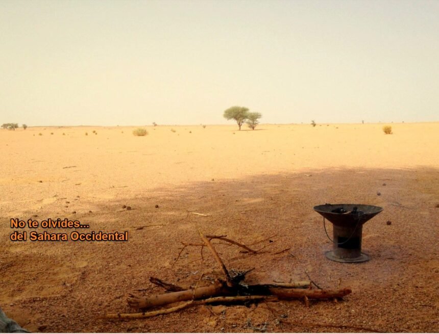 ¡LA ACTUALIDAD SAHARAUI! – 11/10/2023 – NOTICIAS del Sahara Occidental