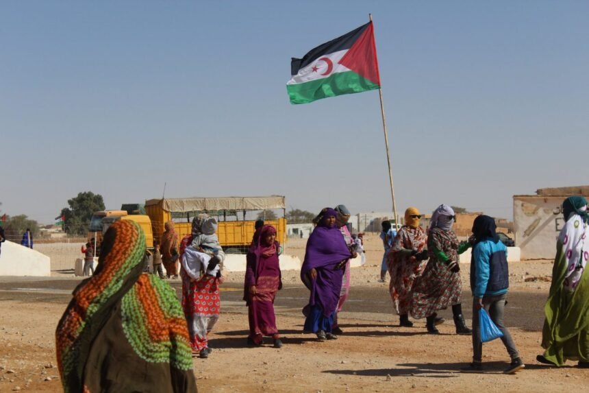 El Sáhara Occidental, la última colonia de África – El Orden Mundial – EOM