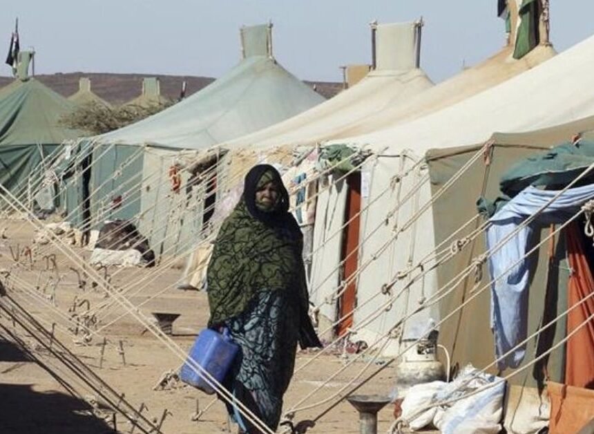 Carta a una saharaui