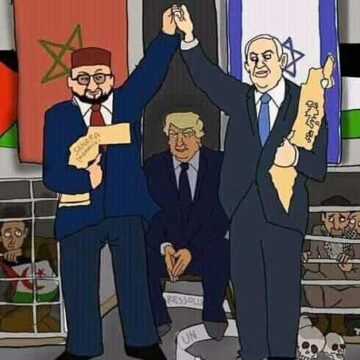 ¡ÚLTIMAS noticias – Sahara Occidental! | 12 de diciembre de 2020