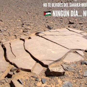 40510734_10215436356615266_8663289128722366464_o La Actualidad Saharaui: 15 de abril de 2020 ??