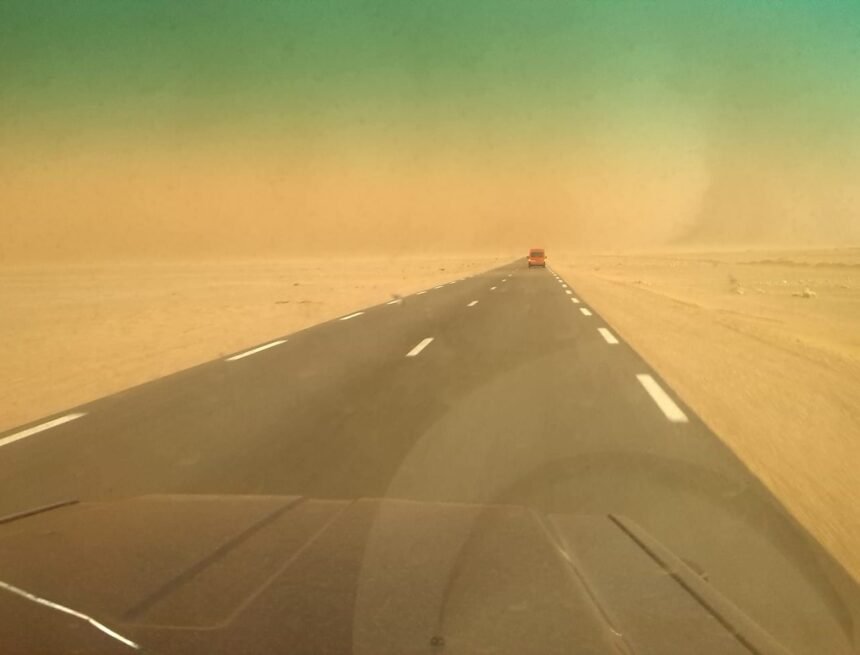 43648601_10161180424410651_5534192547762536448_o SAHARA BUBISHER Ayer regresaron nuestros diez voluntarios a Smara con la satisfacción de una nueva biblioteca en marcha. Atravesaron una tormenta de arena y tuvieron lluvia por la noche pero eso no les impidió visitar hoy las otras tres BIBLIOTECAS BUBISHER