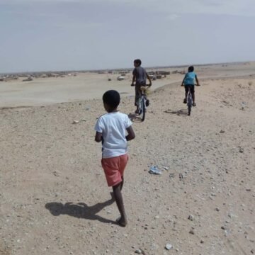 43694620_356682821568749_6430349564405874688_n Eurodéputée : Mes trois jours au Sahara Occidental occupé – Comité belge de soutien au peuple sahraoui