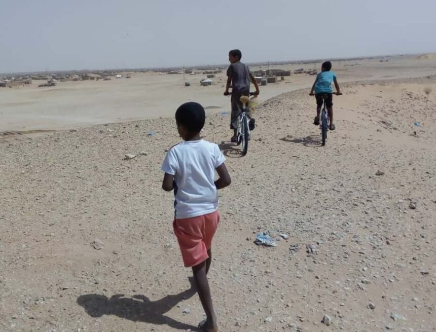 43694620_356682821568749_6430349564405874688_n Eurodéputée : Mes trois jours au Sahara Occidental occupé – Comité belge de soutien au peuple sahraoui