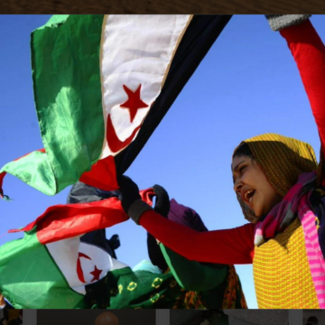 ¡SAHARA OCCIDENTAL! BOLETÍN de últimas noticias del 20 de julio de 2022