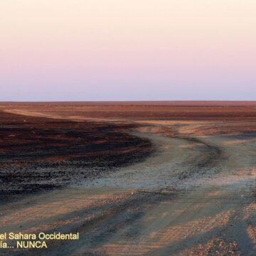45825701_10215926351944843_7917822895085060096_o La Actualidad Saharaui: 11 de abril de 2020 (fin de jornada) ??