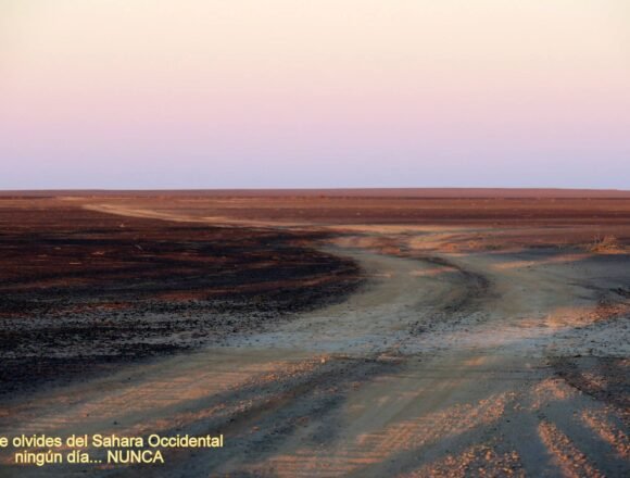 La Actualidad Saharaui: 11 de abril de 2020 (fin de jornada) ??