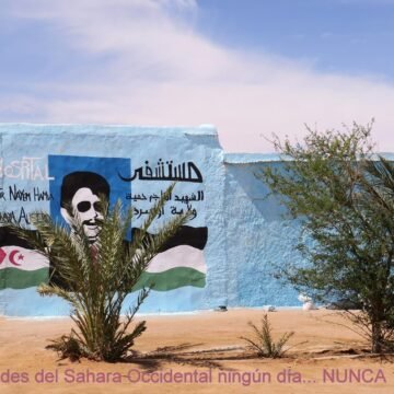 46519696_10216007296288401_8505959142320504832_o La Actualidad Saharaui: 8 de abril de 2020 ??