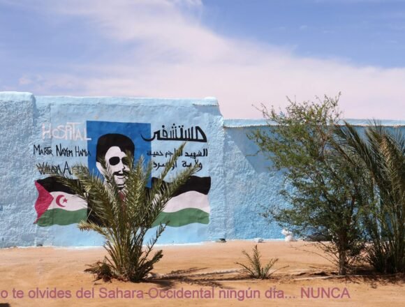 La Actualidad Saharaui: 8 de abril de 2020 ??