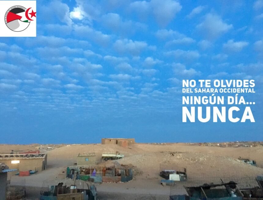 ¡LA ACTUALIDAD SAHARAUI! Las noticias del 1 de marzo de 2022 ??????