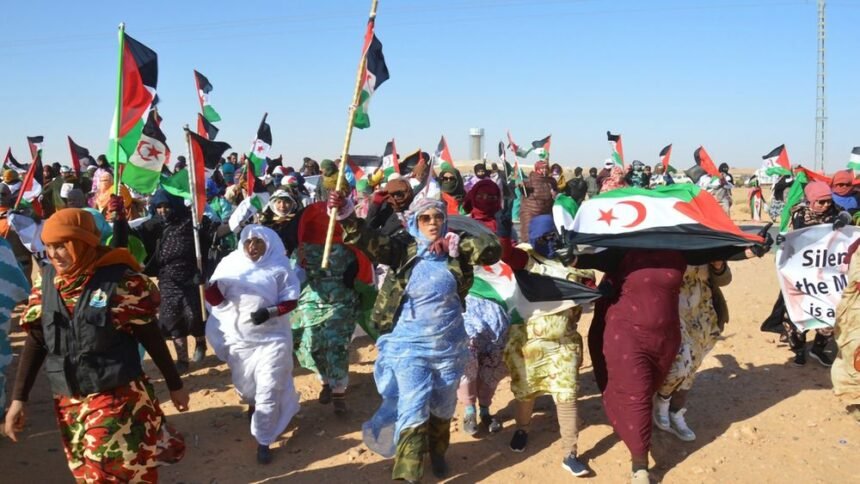 Activistas saharauis denuncian un aumento de la presión marroquí desde la ruptura del alto el fuego | Internacional | EL PAÍS
