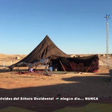 La Actualidad Saharaui: 21 de noviembre de 2019 ??