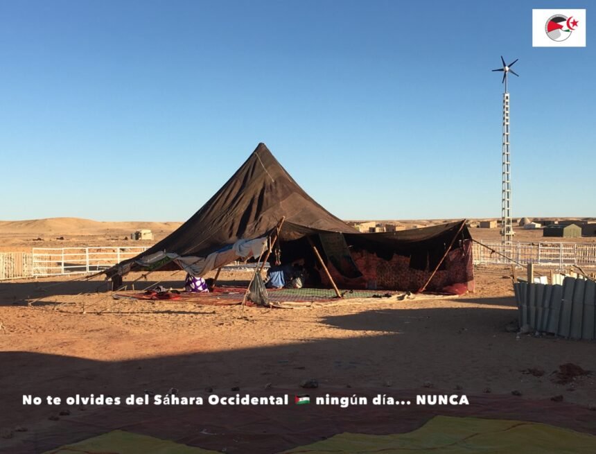 5B7CC8E3-7502-447A-B4F1-156C1463F4B2 La Actualidad Saharaui: 21 de noviembre de 2019 ??