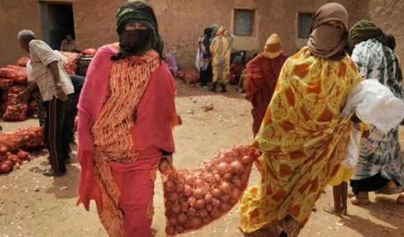 5d9e0838b973a.r_1570960840955.0-7-768-403 Comisión Europea: Marruecos expolia el Sáhara ocupado para convertirlo en la nueva huerta de Europa | Público