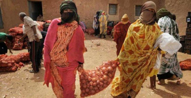 Comisión Europea: Marruecos expolia el Sáhara ocupado para convertirlo en la nueva huerta de Europa | Público