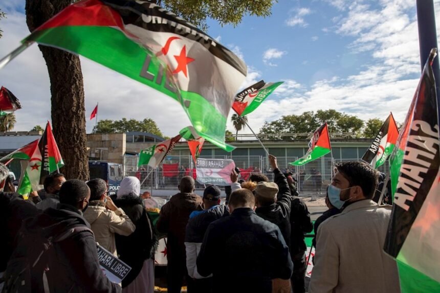 Refugiados en España: Cientos de saharauis pueden residir en España al obtener el estatuto de apátrida que concede el Gobierno | Diario Público