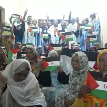 ¡ÚLTIMAS noticias contra el desierto informativo del Sahara Occidental!