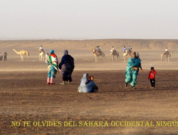 ¡LA ACTUALIDAD SAHARAUI! 14 de diciembre de 2021 ?? ?? ??