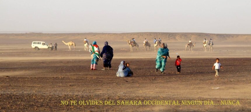 ¡LA ACTUALIDAD SAHARAUI! 14 de diciembre de 2021 ?? ?? ??