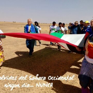 ¡LA ACTUALIDAD SAHARAUI! – 12/6/2023 – NOTICIAS del Sahara Occidental