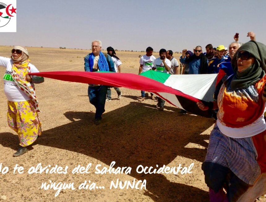 ¡LA ACTUALIDAD SAHARAUI! – 12/6/2023 – NOTICIAS del Sahara Occidental