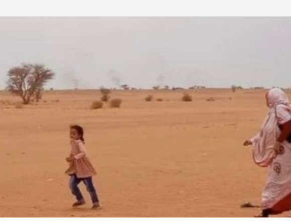 678ikl. Los crímenes de la aviación marroquí contra la población civil saharaui son llevados al Consejo de Derechos Humanos de la ONU