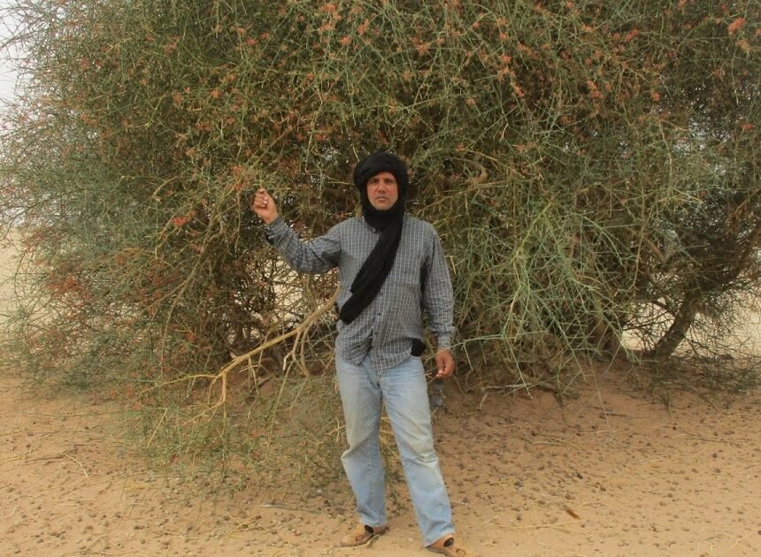 Generación de la Amistad saharaui: Tiris en el recuerdo. Un poema de Ali Salem Iselmu