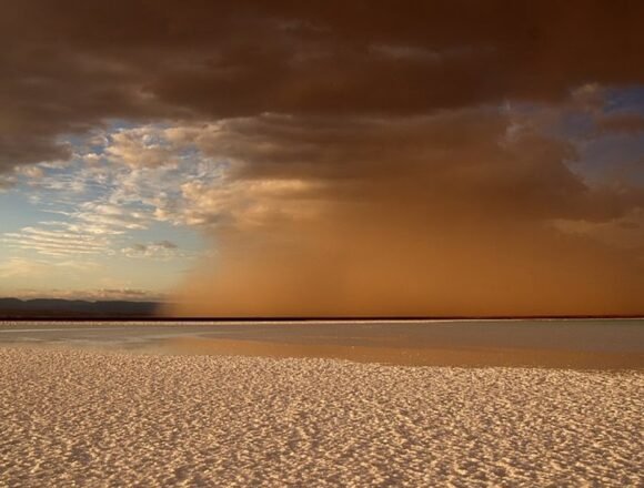Generación de la Amistad saharaui: El Hombre del Norte, por Limam Boisha