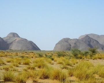 Generación de la Amistad saharaui: Voces del viento