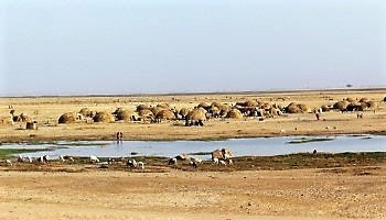 Generación de la Amistad saharaui: Después del gran río, nadie habla bambara