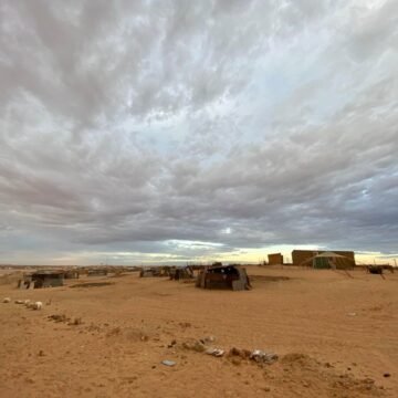 ¡ÚLTIMAS noticias contra el desierto informativo del Sahara Occidental!