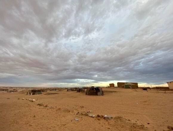 ¡ÚLTIMAS noticias contra el desierto informativo del Sahara Occidental!