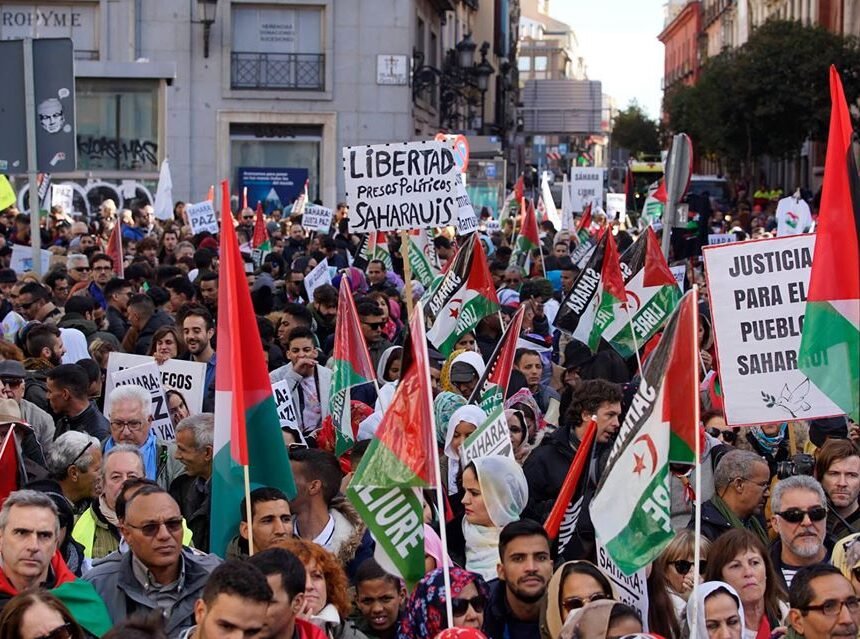 ¡ÚLTIMAS noticias contra el desierto informativo del Sahara Occidental!