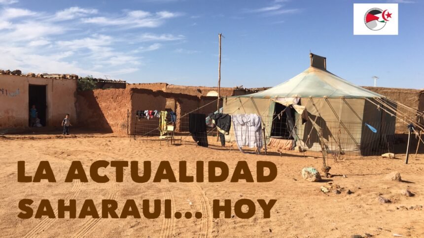 79328782_10218975866340797_5764405307384004608_n ¡ÚLTIMAS noticias – Sahara Occidental! 16 de diciembre de 2021 ?? ?? ??